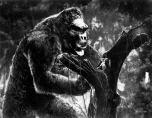 A picture of King Kong