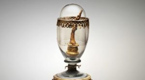 A picture of Galileo’s middle finger at the Galileo Museum, Italy