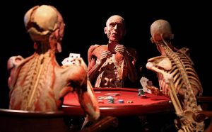 A picture of an exhibit in the Plastinarium museum, Germany-interesting facts about museums