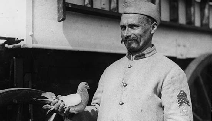 A picture of Soldier holding a pigeon