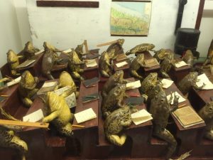 A picture of the froggyland museum