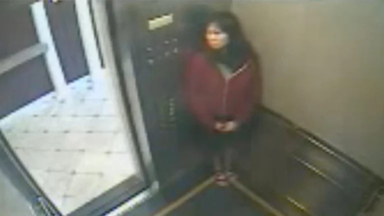Still image from the Cecil Hotel elevator video showing Elisa Lam shortly before her disappearance