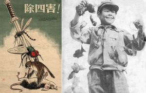 A picture of Mao's Four Pests Campaign