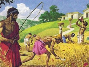 A picture of enslaved working in a field-What was life like in Ancient Rome?