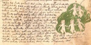 A picture of the Voynich Manuscript-strange artifact