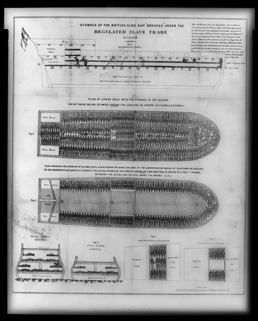 Etching showing the stowage plan of the British slave ship Brookes, with hundreds of enslaved people packed tightly in rows below deck.